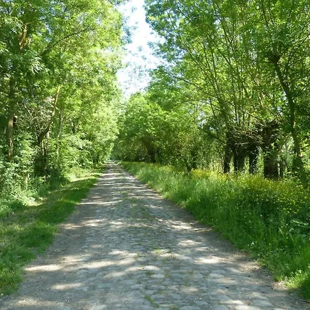 Pergoloire Appartement