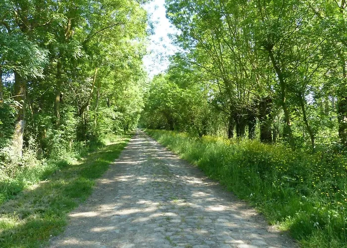 Pergoloire 아파트